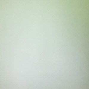 Meet your Posher, Annika